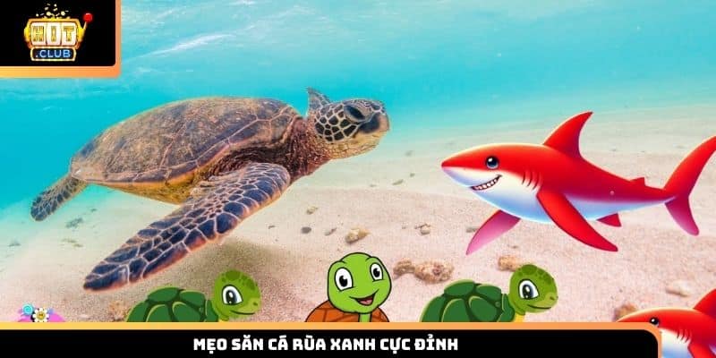 Mẹo săn cá rùa xanh cực đỉnh
