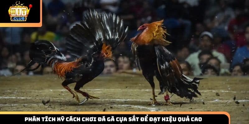 Phân tích kỹ cách chơi đá gà cựa sắt để đạt hiệu quả cao