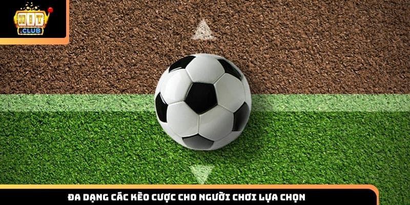 Đa dạng các kèo cược cho người chơi lựa chọn